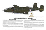 "B-25 Mitchell, Tokyo Raider, Ruptured Duck"-Ernie Boyette-World War II Art